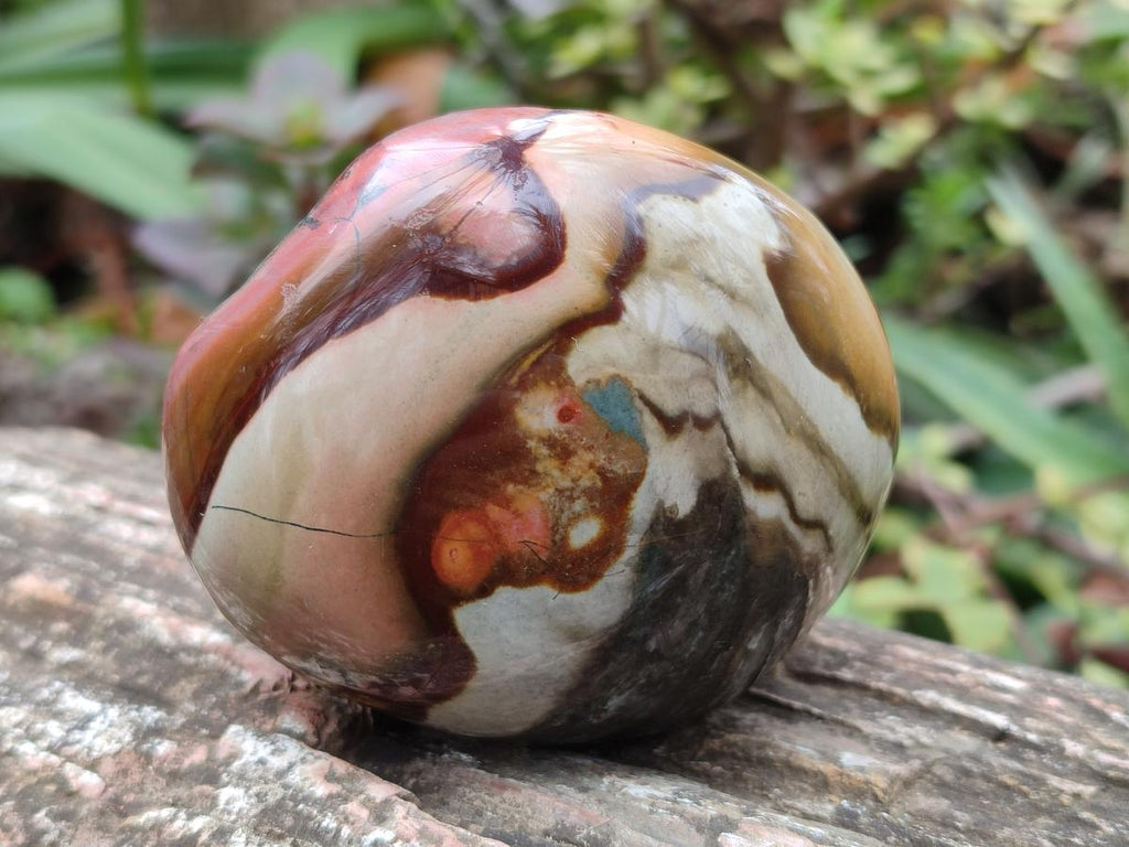 Polished on One Side Polychrome Jasper Nodules x 6 From Androka, Madagascar - Toprock Gemstones and Minerals 