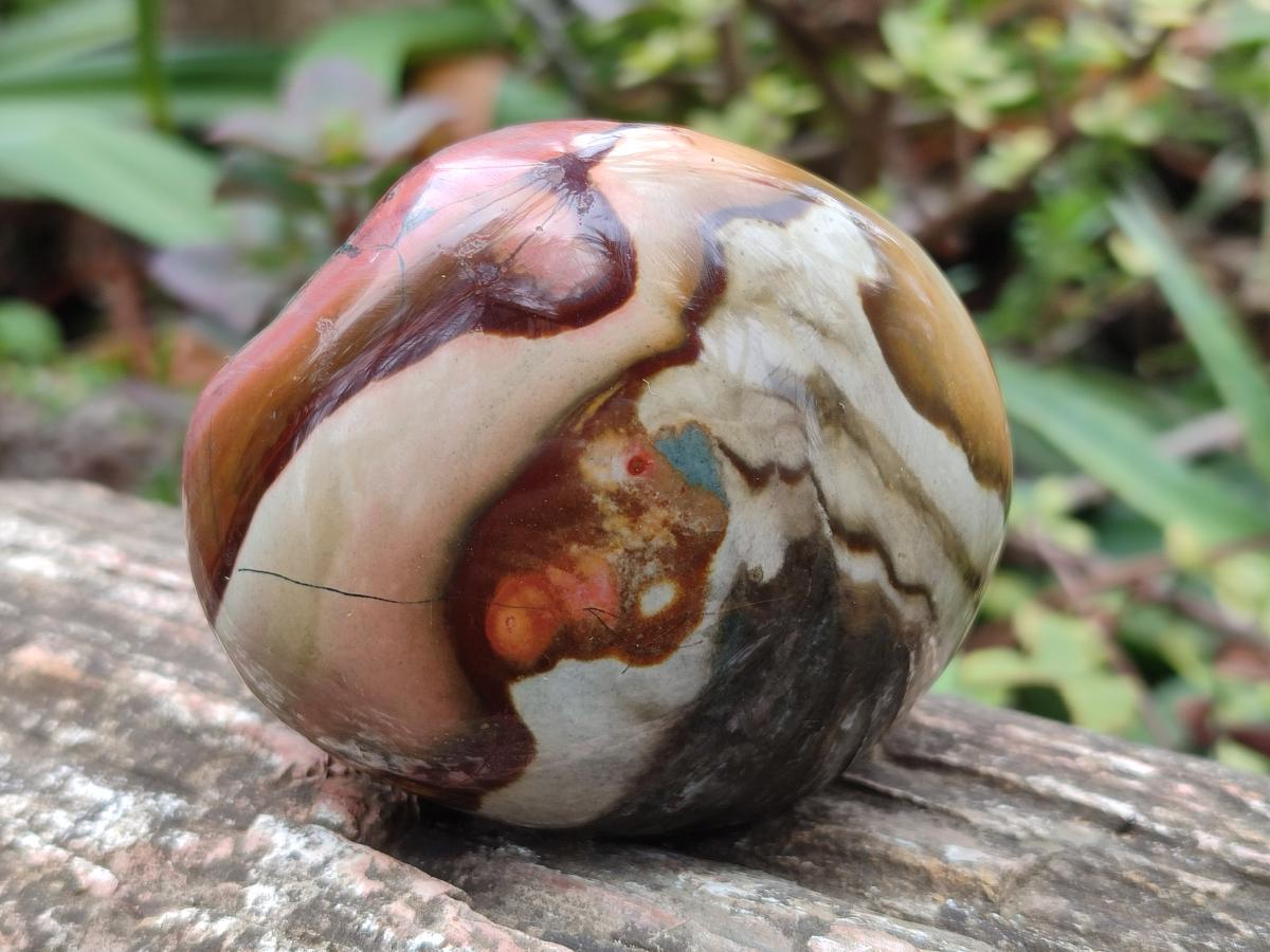 Polished on One Side Polychrome Jasper Nodules x 6 From Androka, Madagascar - Toprock Gemstones and Minerals 