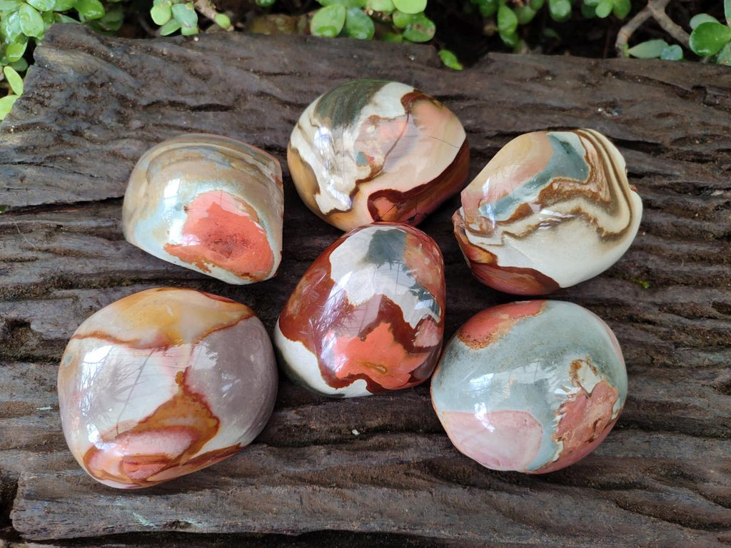 Polished on One Side Polychrome Jasper Nodules x 6 From Androka, Madagascar - Toprock Gemstones and Minerals 
