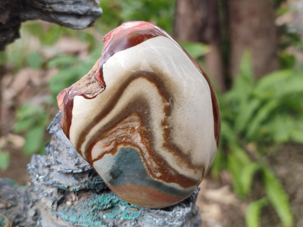 Polished on One Side Polychrome Jasper Nodules x 6 From Androka, Madagascar - Toprock Gemstones and Minerals 