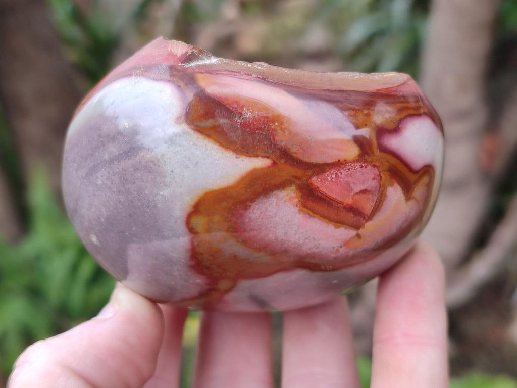 Polished on One Side Polychrome Jasper Nodules x 6 From Androka, Madagascar - Toprock Gemstones and Minerals 
