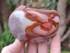 Polished on One Side Polychrome Jasper Nodules x 6 From Androka, Madagascar - Toprock Gemstones and Minerals 