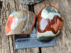 Polished on One Side Polychrome Jasper Nodules x 6 From Androka, Madagascar - Toprock Gemstones and Minerals 
