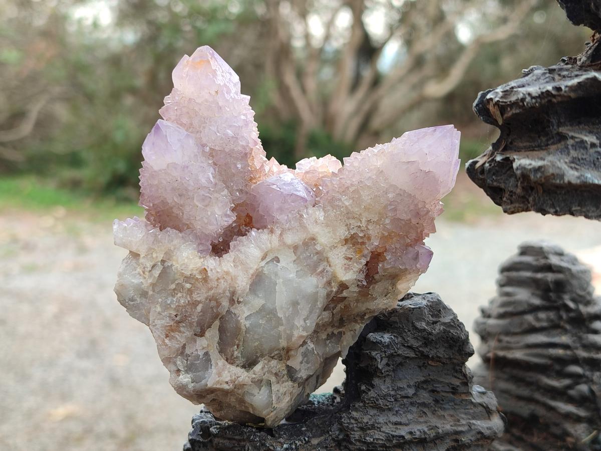 Natural Spirit Amethyst Clusters x 6 From Boekenhouthoek, South Africa - Toprock Gemstones and Minerals 