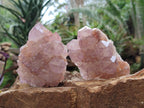 Natural Spirit Amethyst Clusters x 6 From Boekenhouthoek, South Africa - Toprock Gemstones and Minerals 
