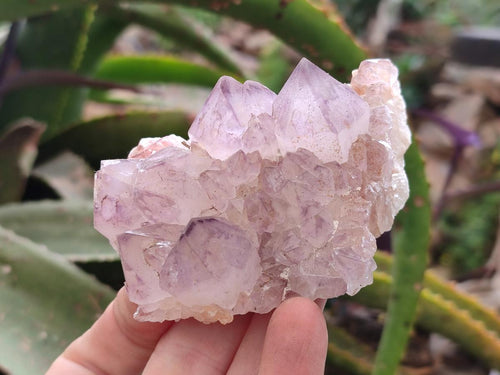 Natural Spirit Amethyst Clusters x 6 From Boekenhouthoek, South Africa - Toprock Gemstones and Minerals 