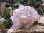 Natural Spirit Amethyst Clusters x 6 From Boekenhouthoek, South Africa - Toprock Gemstones and Minerals 