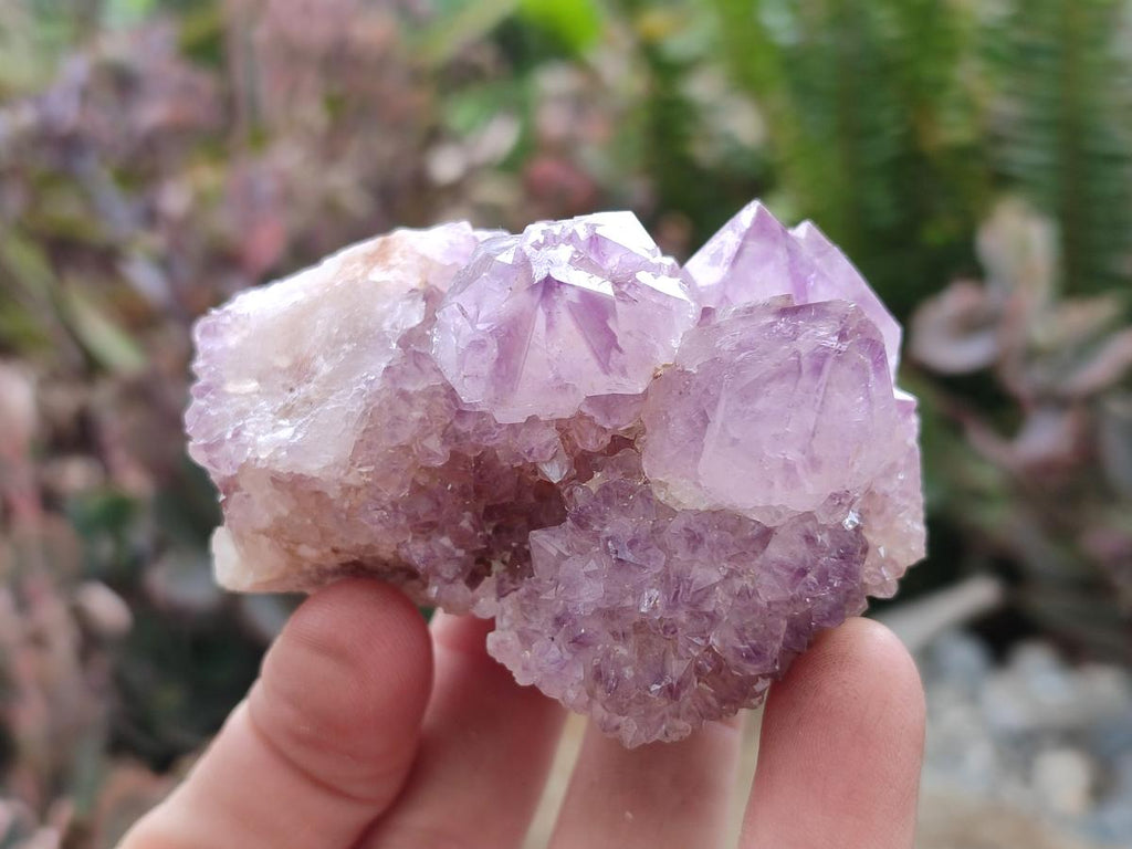 Natural Spirit Amethyst Clusters x 6 From Boekenhouthoek, South Africa - Toprock Gemstones and Minerals 