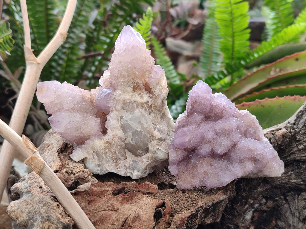 Natural Spirit Amethyst Clusters x 6 From Boekenhouthoek, South Africa - Toprock Gemstones and Minerals 