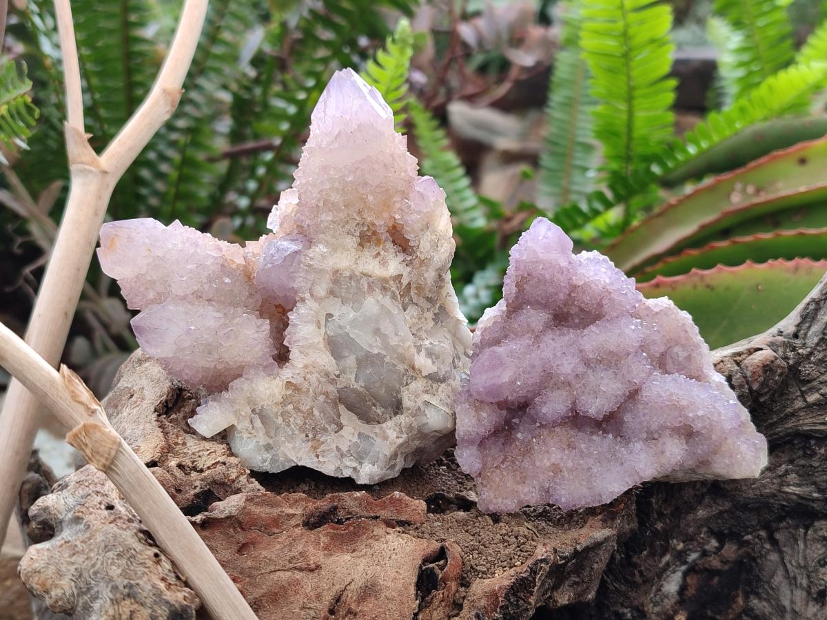 Natural Spirit Amethyst Clusters x 6 From Boekenhouthoek, South Africa - Toprock Gemstones and Minerals 