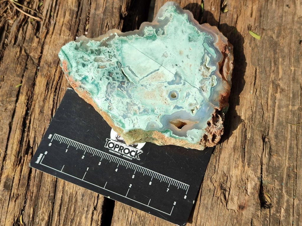 Polished One Side Great Dyke Mtorolite Chrysoprase Slices x 12 From Great Dyke Mountain Range, Zimbabwe - Toprock Gemstones and Minerals 
