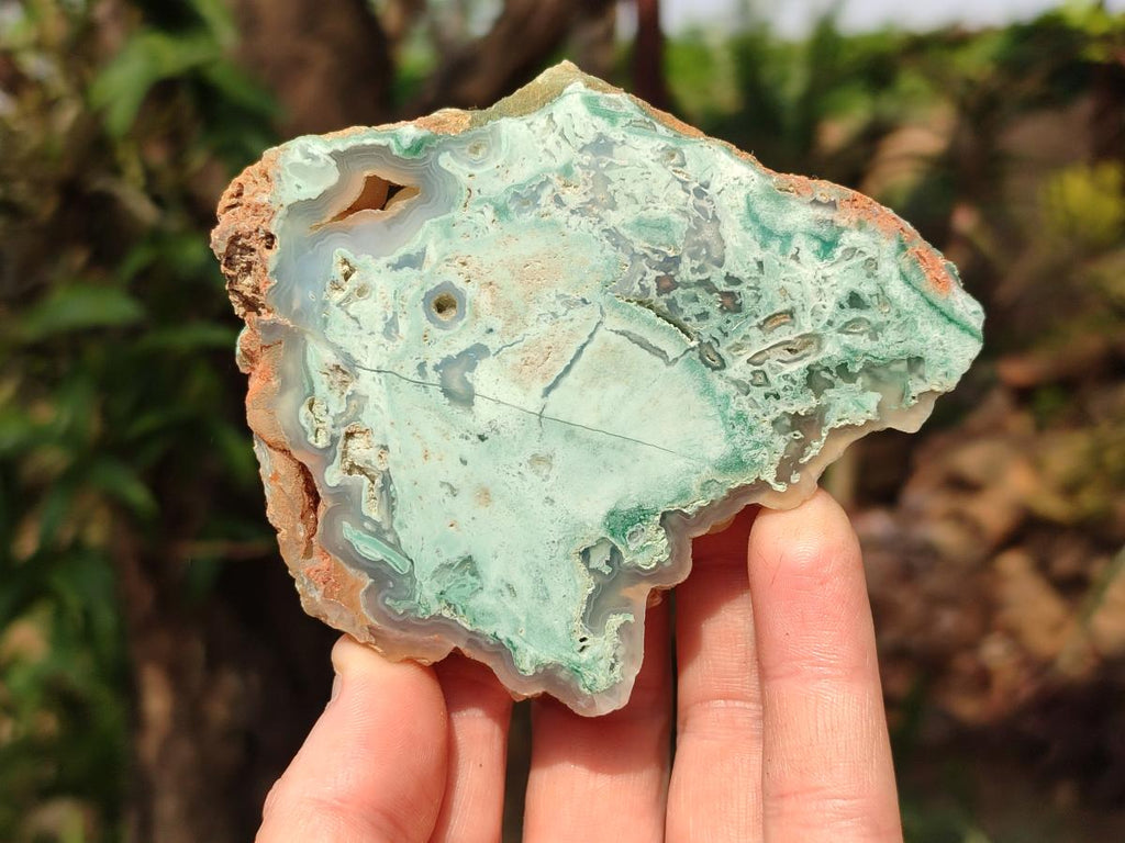 Polished One Side Great Dyke Mtorolite Chrysoprase Slices x 12 From Great Dyke Mountain Range, Zimbabwe - Toprock Gemstones and Minerals 