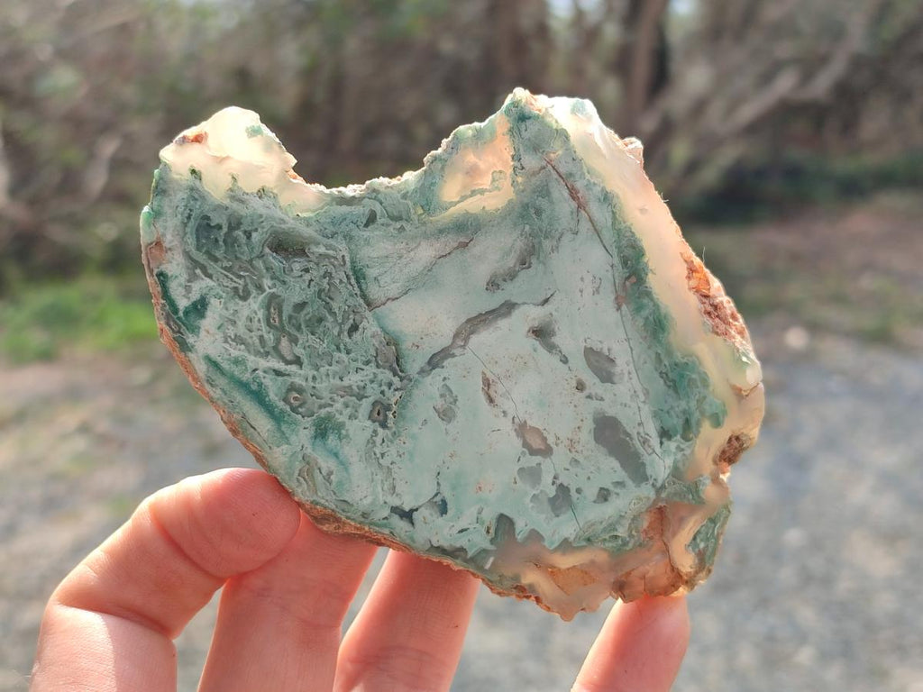 Polished One Side Great Dyke Mtorolite Chrysoprase Slices x 12 From Great Dyke Mountain Range, Zimbabwe - Toprock Gemstones and Minerals 