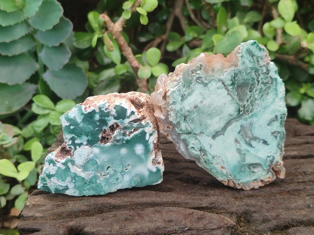 Polished One Side Great Dyke Mtorolite Chrysoprase Slices x 12 From Great Dyke Mountain Range, Zimbabwe - Toprock Gemstones and Minerals 