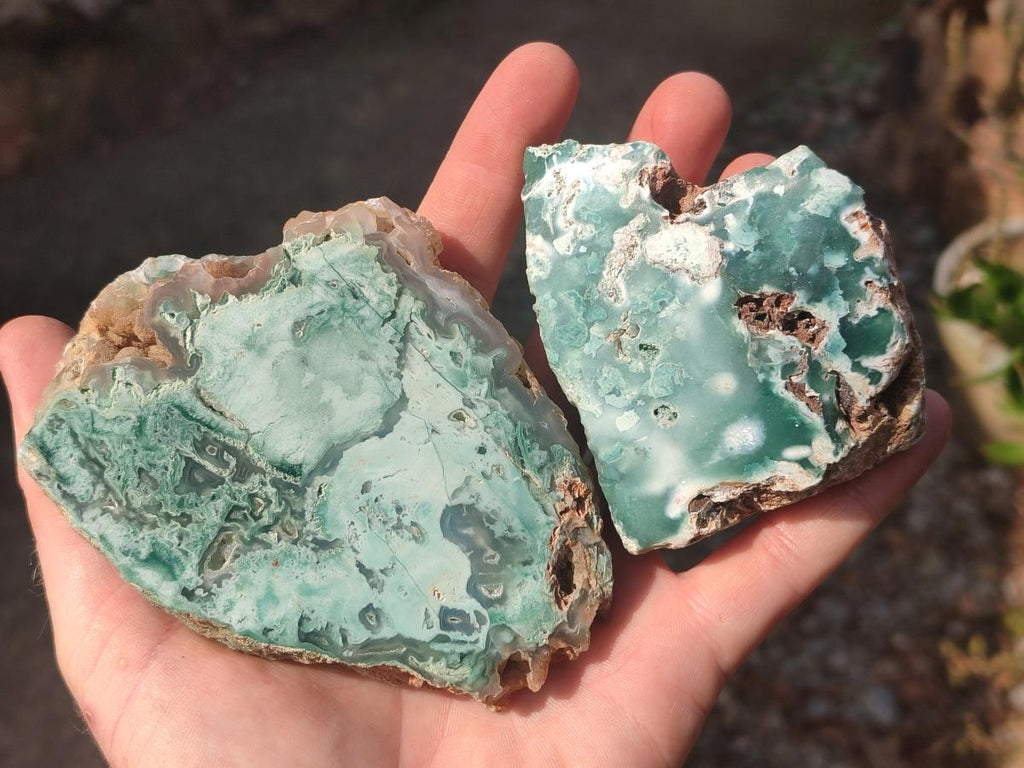 Polished One Side Great Dyke Mtorolite Chrysoprase Slices x 12 From Great Dyke Mountain Range, Zimbabwe - Toprock Gemstones and Minerals 