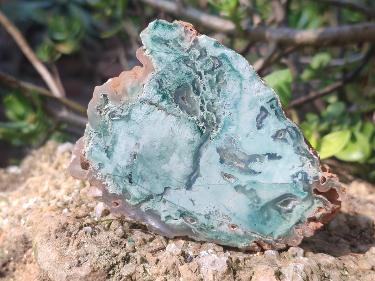 Polished One Side Great Dyke Mtorolite Chrysoprase Slices x 12 From Great Dyke Mountain Range, Zimbabwe - Toprock Gemstones and Minerals 