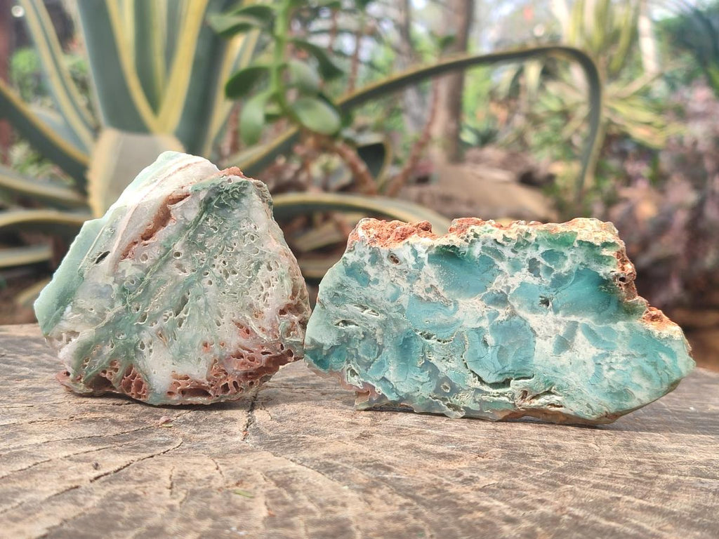 Polished One Side Great Dyke Mtorolite Chrysoprase Slices x 12 From Great Dyke Mountain Range, Zimbabwe - Toprock Gemstones and Minerals 