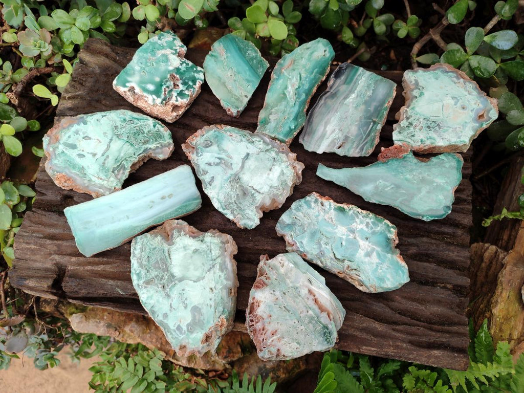 Polished One Side Great Dyke Mtorolite Chrysoprase Slices x 12 From Great Dyke Mountain Range, Zimbabwe - Toprock Gemstones and Minerals 