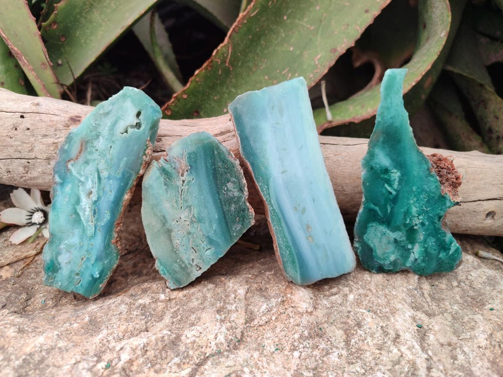 Polished One Side Great Dyke Mtorolite Chrysoprase Slices x 12 From Great Dyke Mountain Range, Zimbabwe - Toprock Gemstones and Minerals 