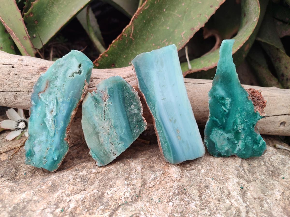 Polished One Side Great Dyke Mtorolite Chrysoprase Slices x 12 From Great Dyke Mountain Range, Zimbabwe - Toprock Gemstones and Minerals 