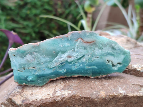 Polished One Side Great Dyke Mtorolite Chrysoprase Slices x 12 From Great Dyke Mountain Range, Zimbabwe - Toprock Gemstones and Minerals 