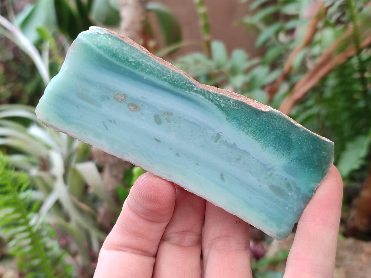 Polished One Side Great Dyke Mtorolite Chrysoprase Slices x 12 From Great Dyke Mountain Range, Zimbabwe - Toprock Gemstones and Minerals 