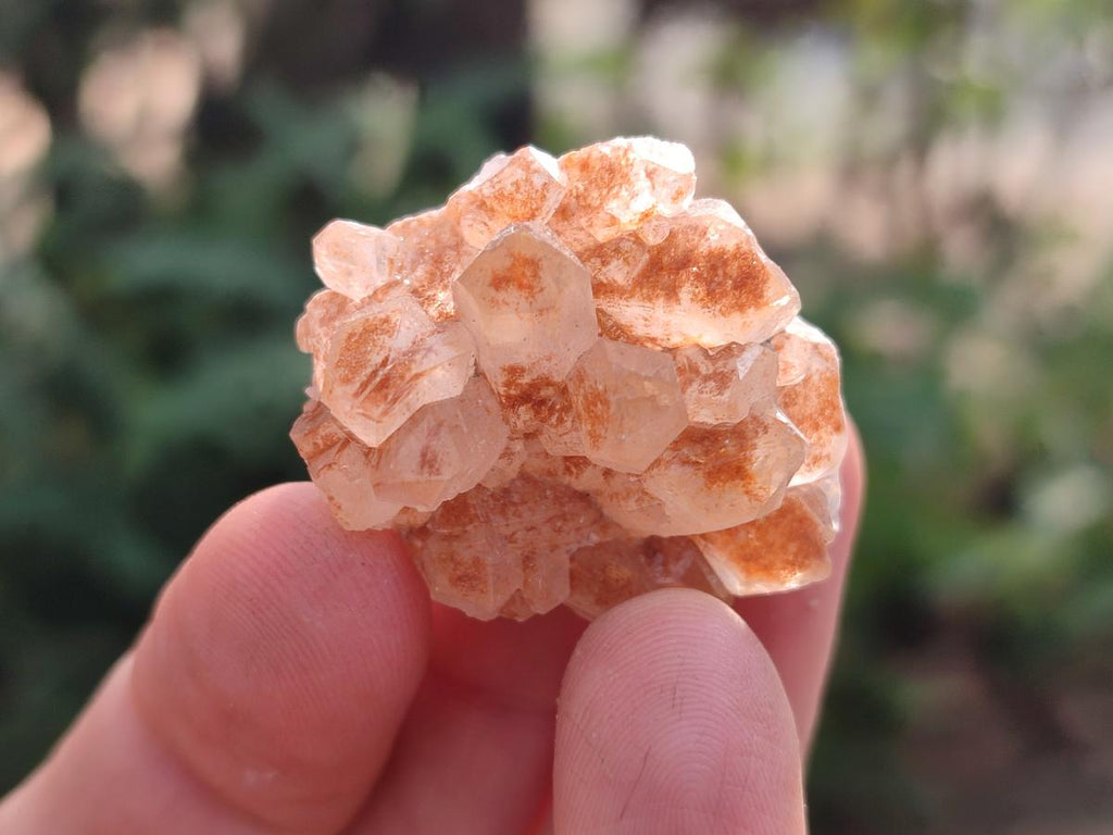 Natural Limonite Quartz Clusters x 70 From Solwezi, Zambia - Toprock Gemstones and Minerals 
