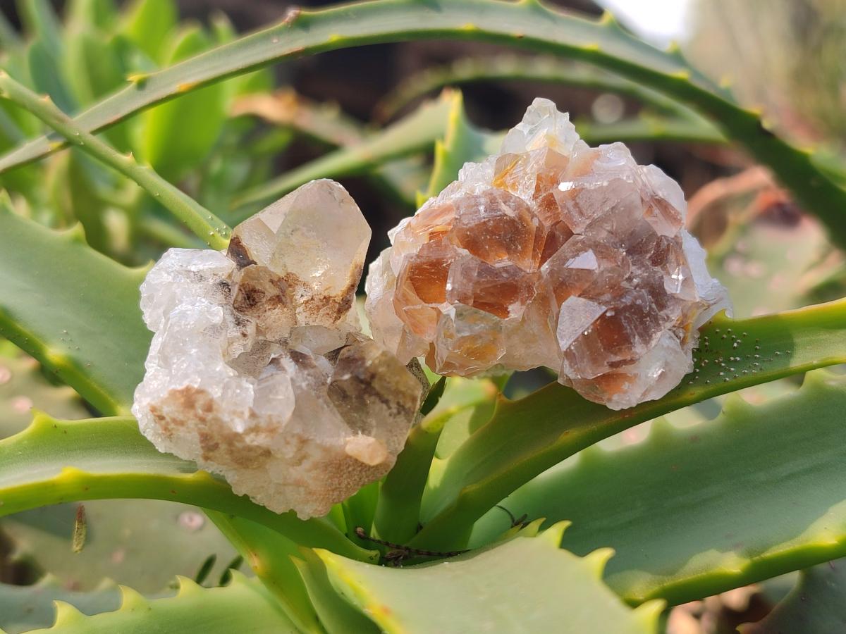 Natural Limonite Quartz Clusters x 70 From Solwezi, Zambia - Toprock Gemstones and Minerals 
