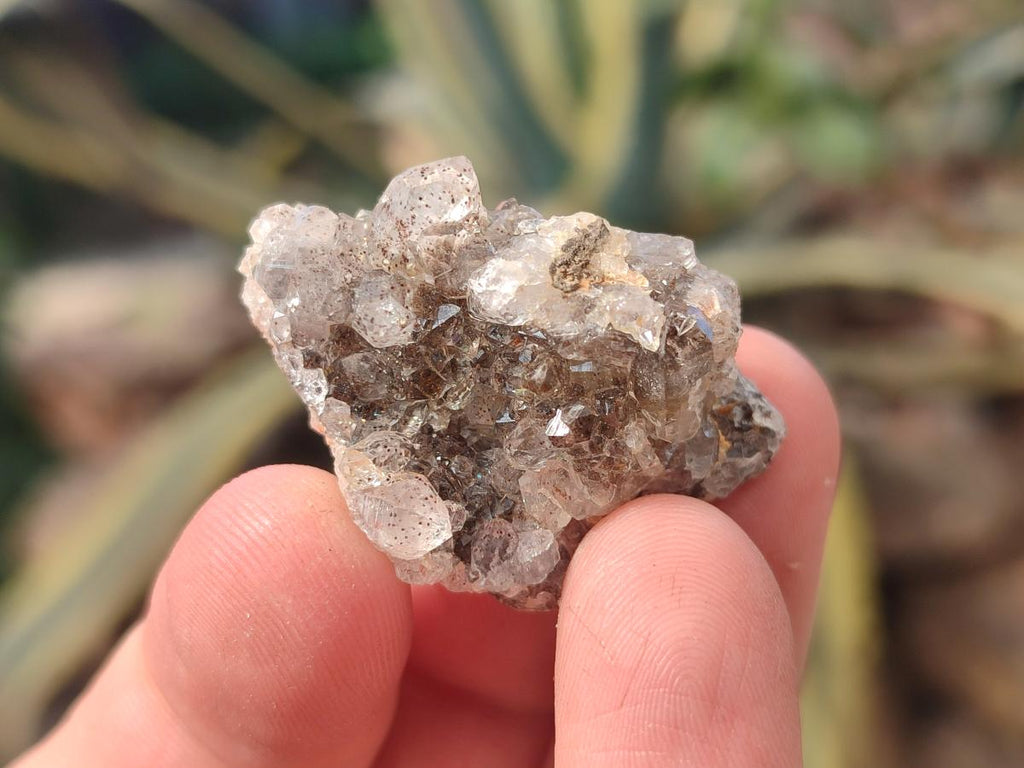 Natural Limonite Quartz Clusters x 70 From Solwezi, Zambia - Toprock Gemstones and Minerals 