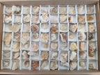 Natural Limonite Quartz Clusters x 70 From Solwezi, Zambia - Toprock Gemstones and Minerals 