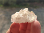 Natural Limonite Quartz Clusters x 70 From Solwezi, Zambia - Toprock Gemstones and Minerals 