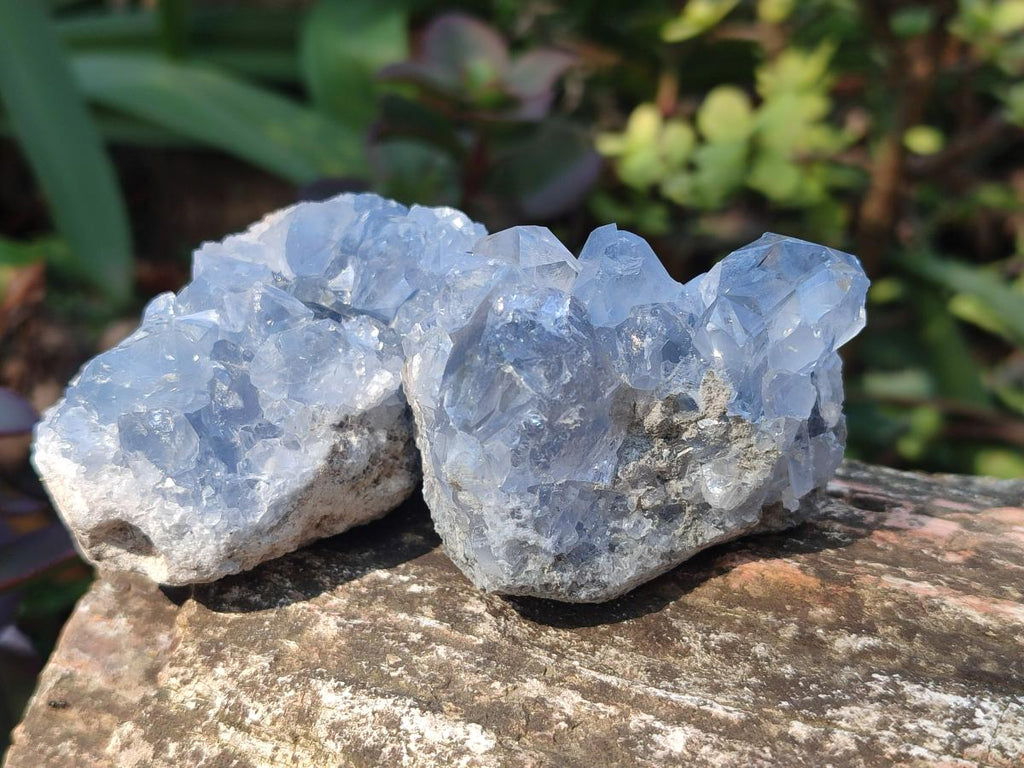 Natural Blue Celestite Specimens x 37 From Sakoany, Madagascar - Toprock Gemstones and Minerals 