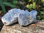 Natural Blue Celestite Specimens x 37 From Sakoany, Madagascar - Toprock Gemstones and Minerals 
