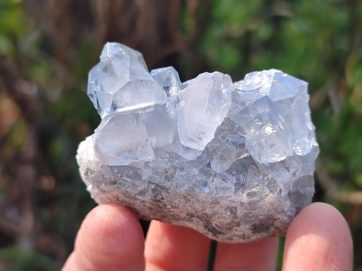 Natural Blue Celestite Specimens x 37 From Sakoany, Madagascar - Toprock Gemstones and Minerals 
