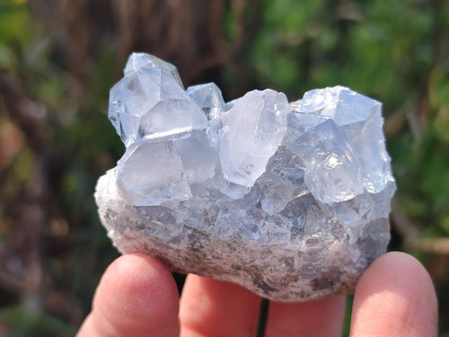 Natural Blue Celestite Specimens x 37 From Sakoany, Madagascar - Toprock Gemstones and Minerals 