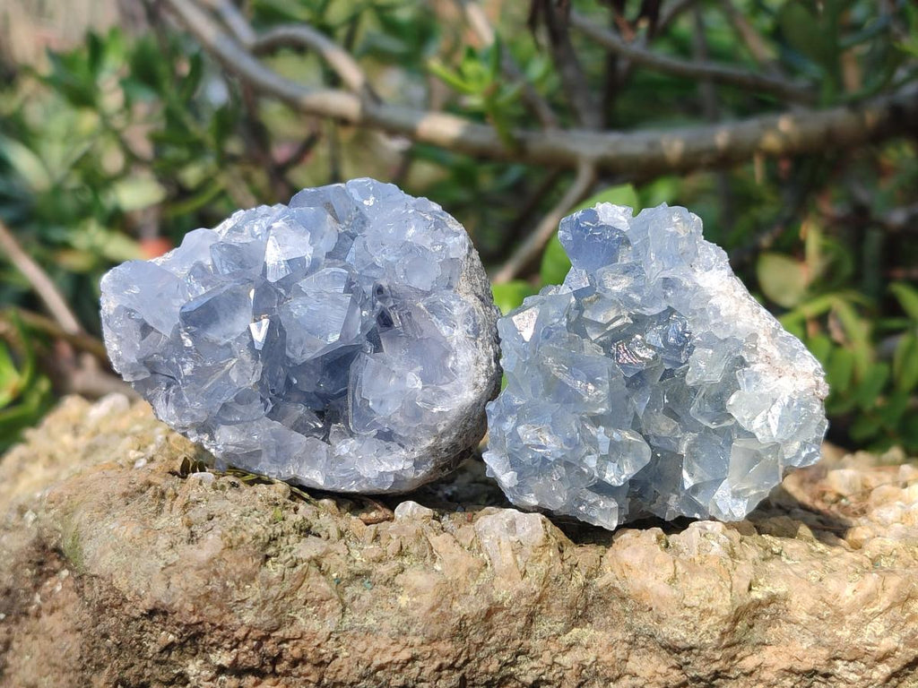 Natural Blue Celestite Specimens x 37 From Sakoany, Madagascar - Toprock Gemstones and Minerals 