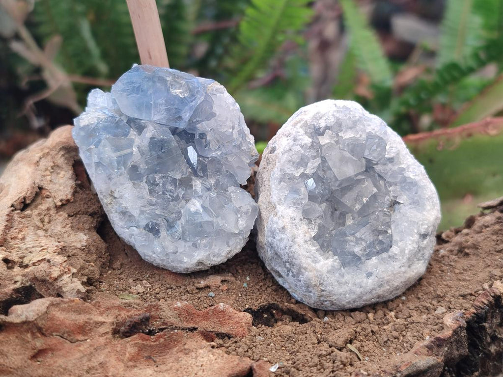 Natural Blue Celestite Specimens x 37 From Sakoany, Madagascar - Toprock Gemstones and Minerals 