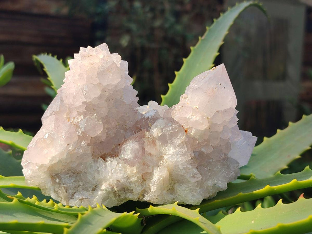 Natural Lilac Spirit Quartz Clusters x 2 From Boekenhouthoek, South Africa - Toprock Gemstones and Minerals 