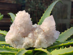 Natural Lilac Spirit Quartz Clusters x 2 From Boekenhouthoek, South Africa - Toprock Gemstones and Minerals 
