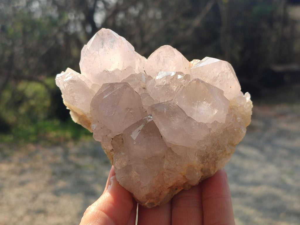 Natural Lilac Spirit Quartz Clusters x 2 From Boekenhouthoek, South Africa - Toprock Gemstones and Minerals 
