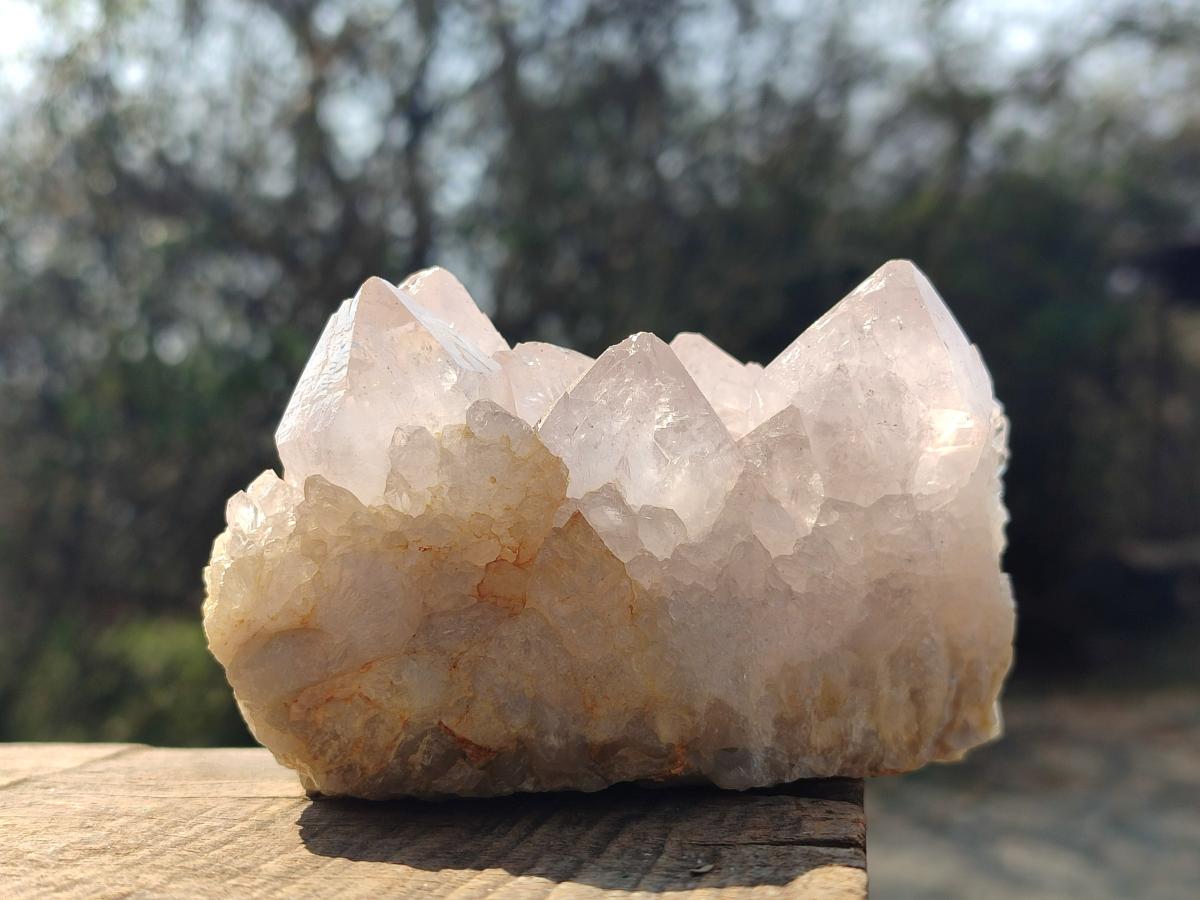 Natural Lilac Spirit Quartz Clusters x 2 From Boekenhouthoek, South Africa - Toprock Gemstones and Minerals 