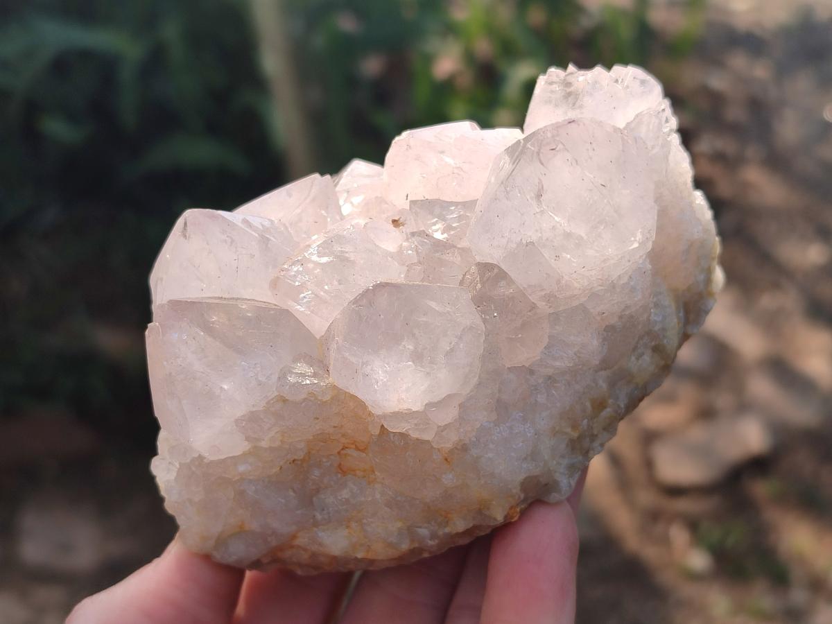 Natural Lilac Spirit Quartz Clusters x 2 From Boekenhouthoek, South Africa - Toprock Gemstones and Minerals 