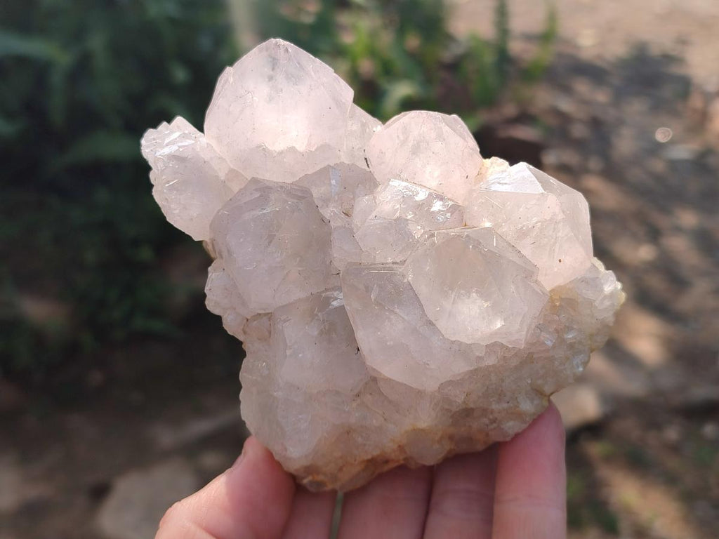 Natural Lilac Spirit Quartz Clusters x 2 From Boekenhouthoek, South Africa - Toprock Gemstones and Minerals 