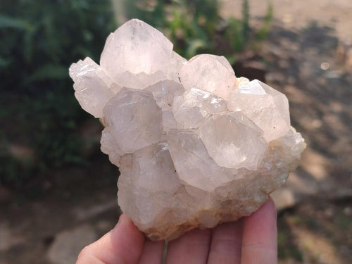 Natural Lilac Spirit Quartz Clusters x 2 From Boekenhouthoek, South Africa - Toprock Gemstones and Minerals 