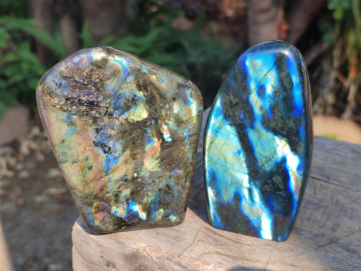 Polished Labradorite Standing Display Pieces x 3 From Madagascar - Toprock Gemstones and Minerals 