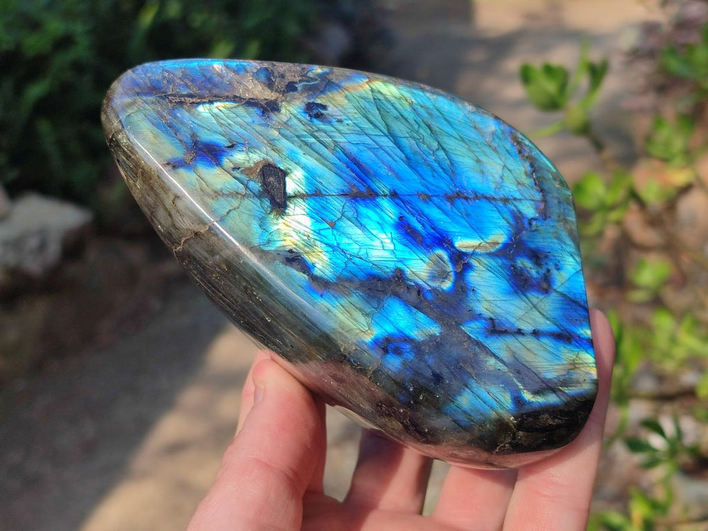 Polished Labradorite Standing Display Pieces x 3 From Madagascar - Toprock Gemstones and Minerals 