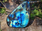 Polished Labradorite Standing Display Pieces x 3 From Madagascar - Toprock Gemstones and Minerals 