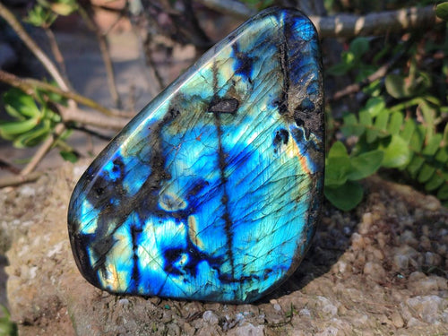 Polished Labradorite Standing Display Pieces x 3 From Madagascar - Toprock Gemstones and Minerals 