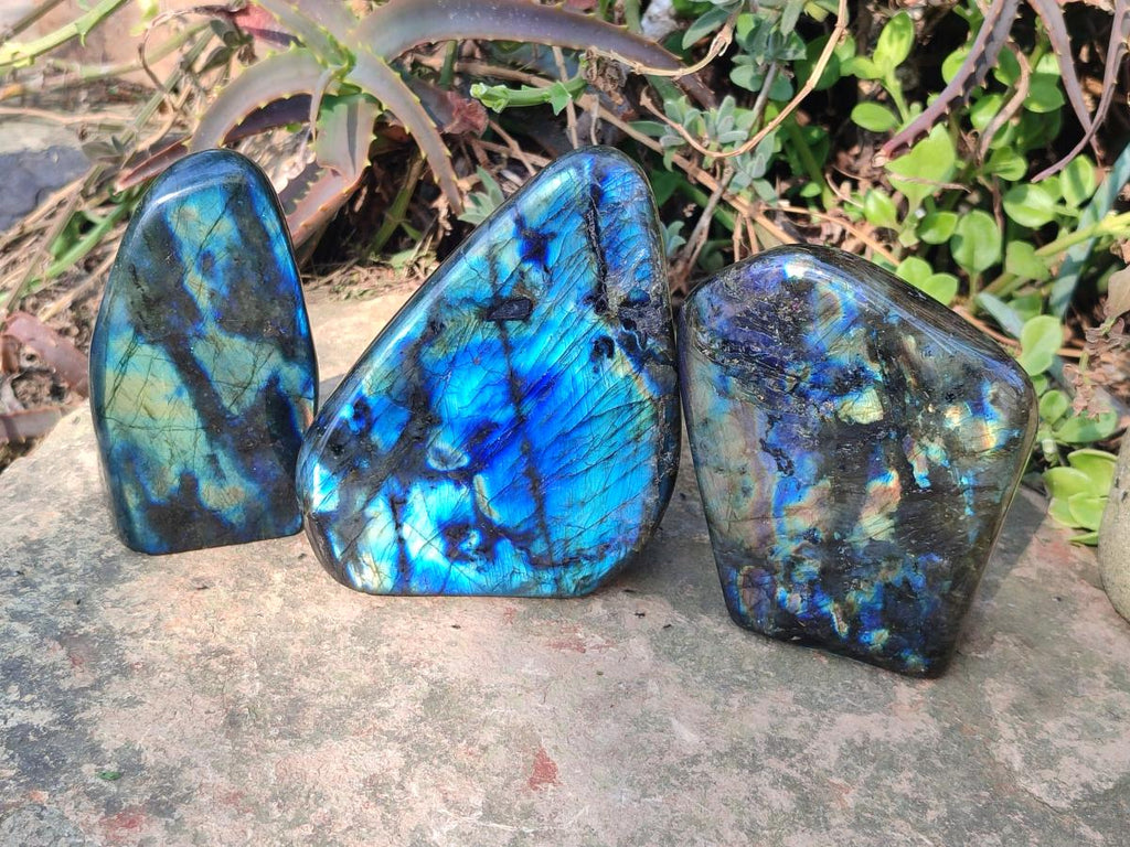 Polished Labradorite Standing Display Pieces x 3 From Madagascar - Toprock Gemstones and Minerals 