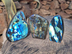 Polished Labradorite Standing Display Pieces x 3 From Madagascar - Toprock Gemstones and Minerals 